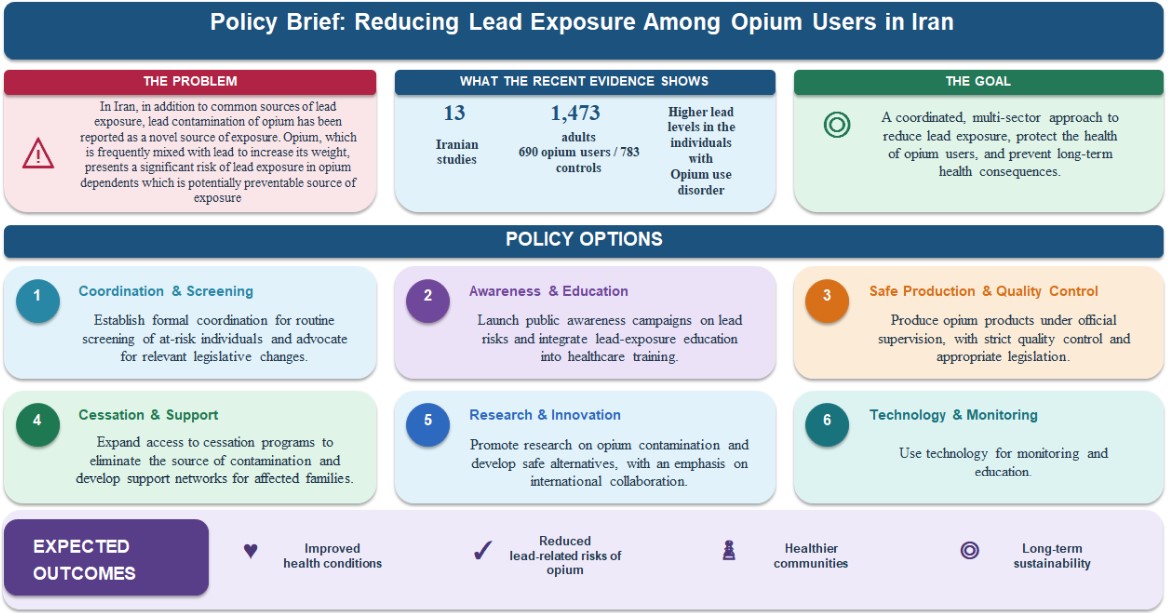 Addressing the Silent Threat - Strategies to Reduce Lead Exposure in Opium-user Populations: Integrating Health and Policy